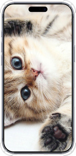 Силикон с усиленными углами чехол Котик для Apple iPhone 17 PRO - 6024sp-4030 изображение 