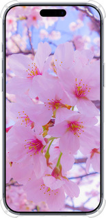 Силикон с усиленными углами чехол Сакура для Apple iPhone 17 PRO - 6029sp-4030 изображение 