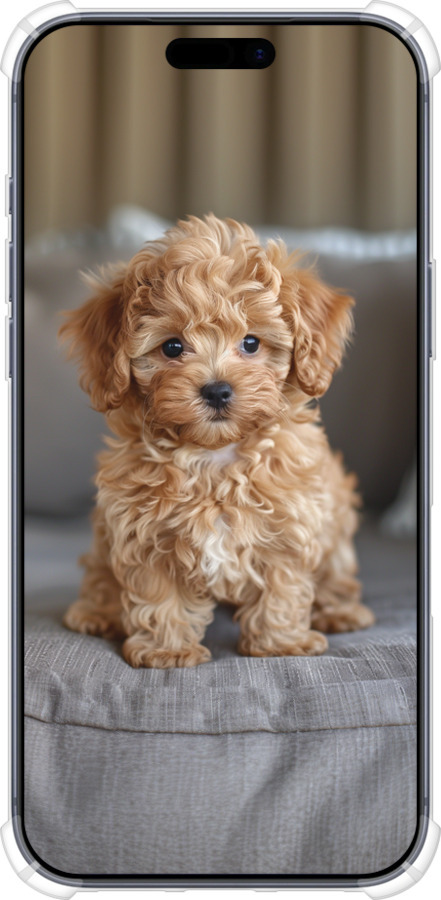 Силикон с усиленными углами чехол Mini-maltipoo для Apple iPhone 17 PRO - 6158sp-4030 изображение 