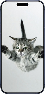 Силиконовый чехол Летящий котёнок для Apple iPhone 17 PRO - 2322u-4030 изображение 