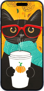 Силиконовый чехол Осенний кот для Apple iPhone 17 PRO - 4026u-4030 изображение 