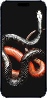 Силиконовый чехол Красно-черная змея на черном фоне для Apple iPhone 17 PRO - 4063u-4030 изображение 