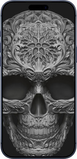 Силиконовый чехол skull-ornament для Apple iPhone 17 PRO - 4101u-4030 изображение 