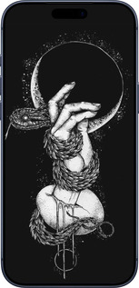 Силиконовый чехол Змея в руке для Apple iPhone 17 PRO - 4149u-4030 изображение 