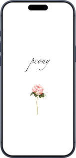 Силиконовый чехол Пион для Apple iPhone 17 PRO - 4366u-4030 изображение 