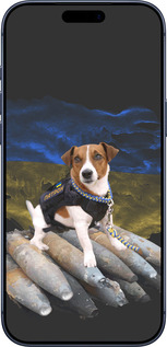 Силиконовый чехол Патрон для Apple iPhone 17 PRO - 5320u-4030 изображение 