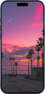 Силиконовый чехол Пальмы для Apple iPhone 17 PRO - 5873u-4030 изображение 