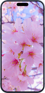 Силиконовый чехол Сакура для Apple iPhone 17 PRO - 6029u-4030 изображение 