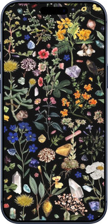 Силиконовый чехол С цветами для Apple iPhone 17 PRO - 6422u-4030 изображение 