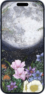 Силиконовый чехол Полночь в саду II для Apple iPhone 17 PRO - 6424u-4030 изображение 