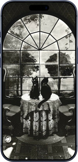 Силиконовый чехол Череп и коты для Apple iPhone 17 PRO - 6432u-4030 изображение 