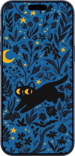 Силиконовый чехол Летняя ночь для Apple iPhone 17 PRO - 6472u-4030 изображение 