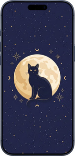 Силиконовый чехол Cute Cat Celestial/Witchy для Apple iPhone 17 PRO - 6787u-4030 изображение 
