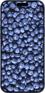 Силіконовий чехол Чорниця для Apple iPhone 17 PRO - 851u-4030 изображение 