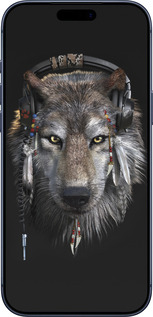 Силиконовый чехол Волк-меломан для Apple iPhone 17 PRO - 875u-4030 изображение 