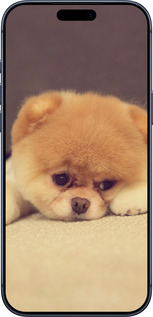 Силиконовый чехол Boo 2 для Apple iPhone 17 PRO - 890u-4030 изображение 