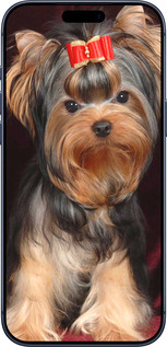 Силиконовый чехол Йоркширский терьер для Apple iPhone 17 PRO - 929u-4030 изображение 