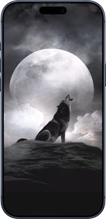 Силиконовый чехол Воющий волк для Apple iPhone 17 PRO - 934u-4030 изображение 