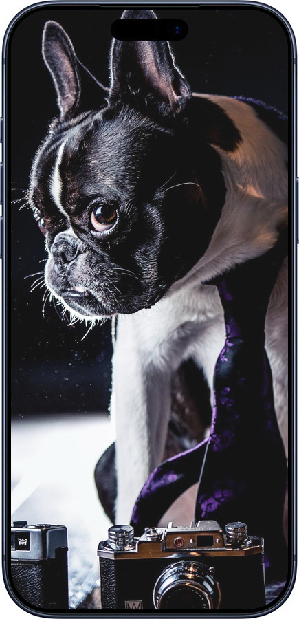 Силиконовый чехол Бульдог-фотограф для Apple iPhone 17 PRO - 142u-4030 изображение 