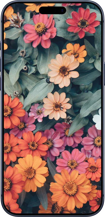 Силиконовый чехол Beauty flowers для Apple iPhone 17 PRO - 4050u-4030 изображение 