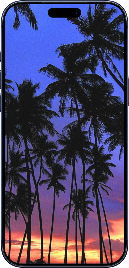 Силиконовый чехол Пальмы для Apple iPhone 17 PRO - 4324u-4030 изображение 