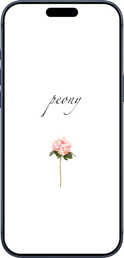 Силиконовый чехол Пион для Apple iPhone 17 PRO - 4366u-4030 изображение 