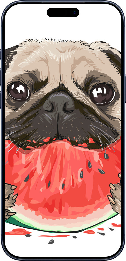 Силиконовый чехол Мопс и арбуз для Apple iPhone 17 PRO - 4665u-4030 изображение 