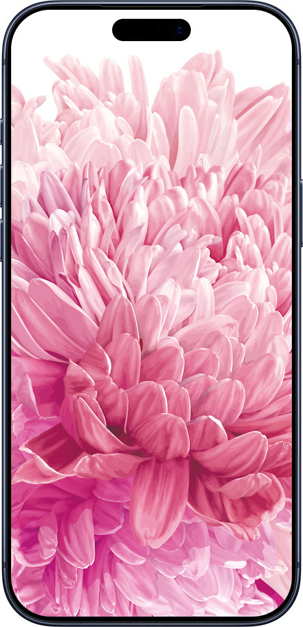 Силиконовый чехол Хризантема для Apple iPhone 17 PRO - 4666u-4030 изображение 