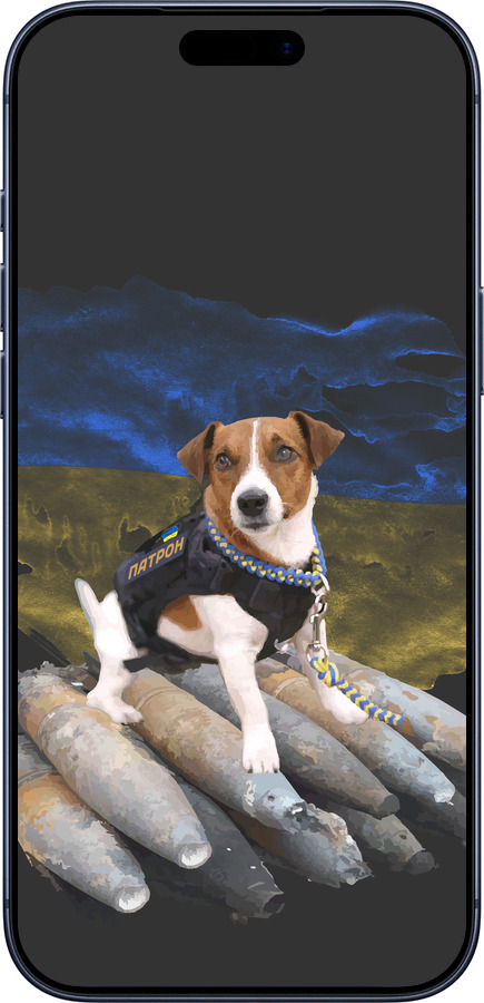 Силиконовый чехол Патрон для Apple iPhone 17 PRO - 5320u-4030 изображение 