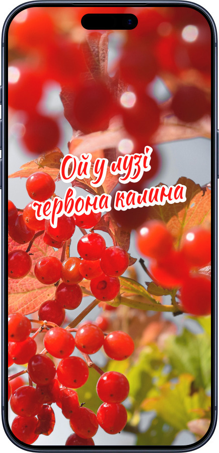 Силиконовый чехол Калина для Apple iPhone 17 PRO - 5454u-4030 изображение 