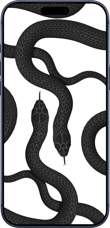 Силиконовый чехол Змеи для Apple iPhone 17 PRO - 5473u-4030 изображение 