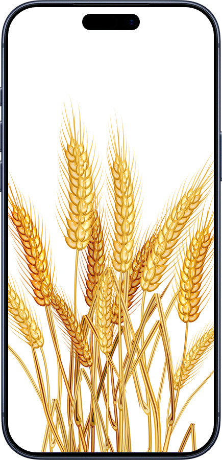 Силиконовый чехол Колоски пшеници для Apple iPhone 17 PRO - 5866u-4030 изображение 