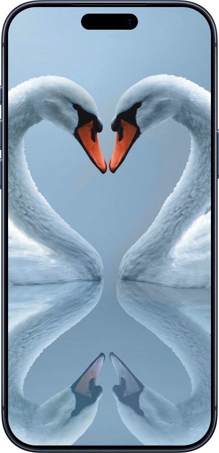 Силіконовий чехол Лебеді для Apple iPhone 17 PRO - 6007u-4030 изображение 