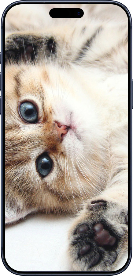 Силиконовый чехол Котик для Apple iPhone 17 PRO - 6024u-4030 изображение 