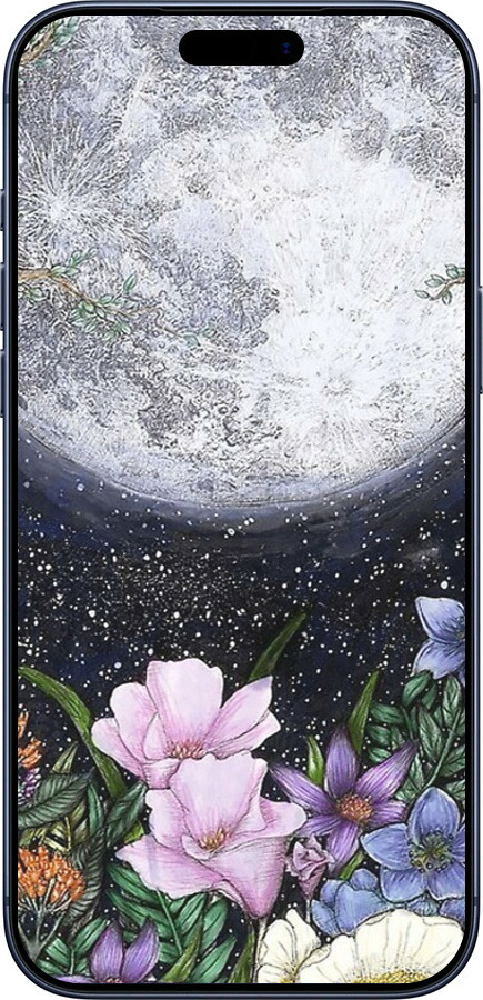 Силиконовый чехол Полночь в саду для Apple iPhone 17 PRO - 6259u-4030 изображение 