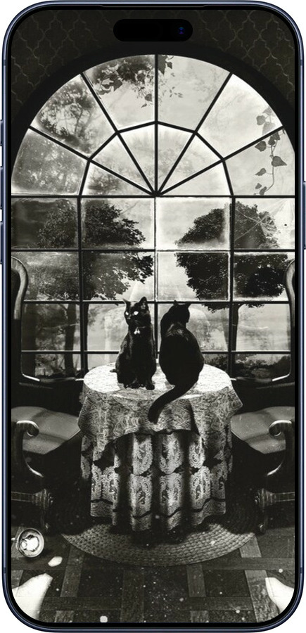 Силиконовый чехол Череп и коты для Apple iPhone 17 PRO - 6432u-4030 изображение 