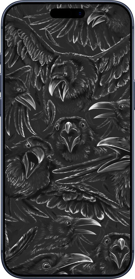 Силиконовый чехол Воронья ярость для Apple iPhone 17 PRO - 6474u-4030 изображение 