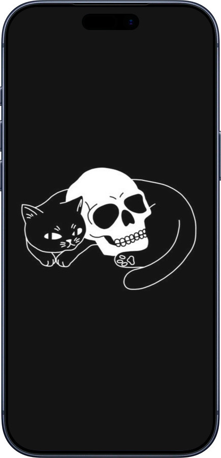 Силиконовый чехол С изображением кота и черепа для Apple iPhone 17 PRO - 6491u-4030 изображение 