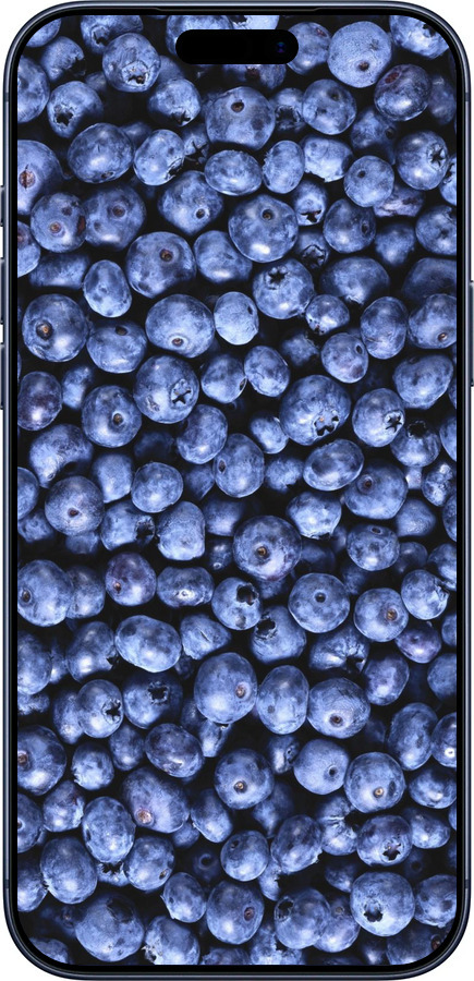 Силіконовий чехол Чорниця для Apple iPhone 17 PRO - 851u-4030 изображение 