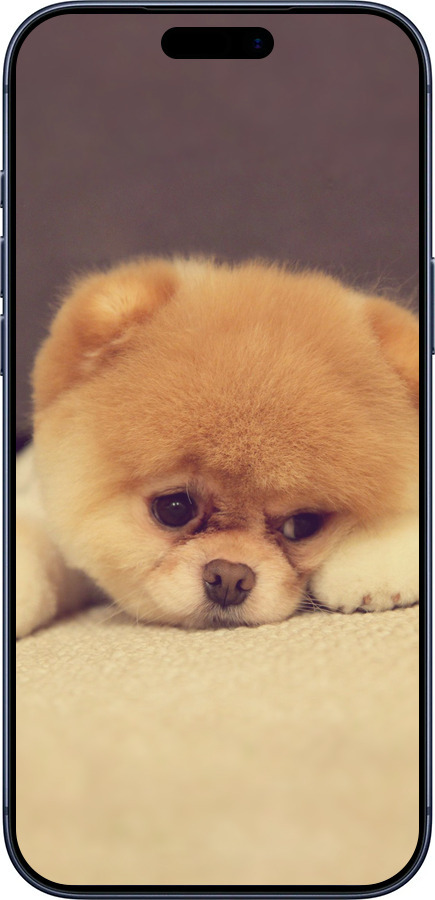 Силиконовый чехол Boo 2 для Apple iPhone 17 PRO - 890u-4030 изображение 