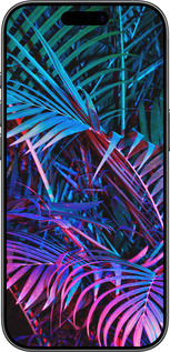 TPU чехол Папороть під ультрафіолетом для Apple iPhone 17 - 4069b-4031 изображение 