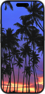 TPU чехол Пальми для Apple iPhone 17 - 4324b-4031 изображение 