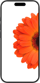 TPU чехол Гербера 1 для Apple iPhone 17 - 4534b-4031 изображение 