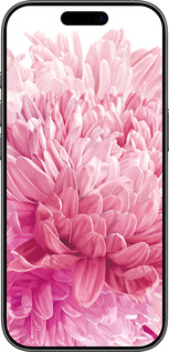 TPU чехол Хризантема для Apple iPhone 17 - 4666b-4031 изображение 