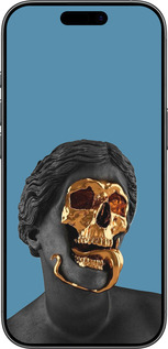 TPU чехол Sculptures для Apple iPhone 17 - 4845b-4031 изображение 