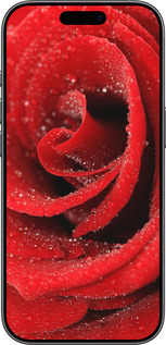 TPU чехол Червона троянда для Apple iPhone 17 - 529b-4031 изображение 