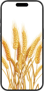 TPU чехол Колоски пшениці для Apple iPhone 17 - 5866b-4031 изображение 