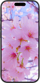 TPU чехол Сакура для Apple iPhone 17 - 6029b-4031 изображение 