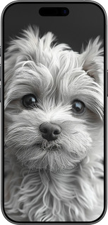 TPU чехол Мальтипу на чорном фоне для Apple iPhone 17 - 6156b-4031 изображение 