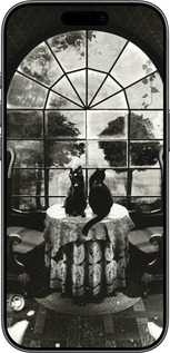 TPU чехол Череп и коты для Apple iPhone 17 - 6432b-4031 изображение 